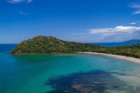 Daintree And Cape Tribulation Tour From Cairns - Accommodation Sunshine Coast 7
