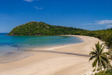 Daintree And Cape Tribulation Tour From Cairns - Accommodation Sunshine Coast 8