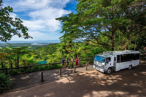 Daintree And Cape Tribulation Tour From Cairns - Accommodation Sunshine Coast 5