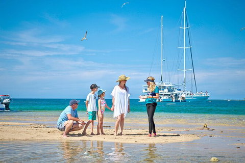 Wavedancer Low Isles Great Barrier Reef Sailing Cruise From Cairns - Accommodation Sunshine Coast 7
