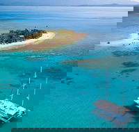 Wavedancer Low Isles Great Barrier Reef Sailing Cruise from Cairns - Accommodation Sunshine Coast