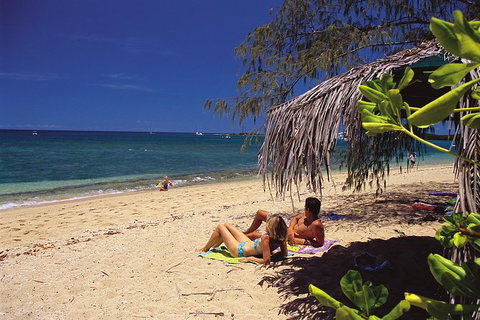 Wavedancer Low Isles Great Barrier Reef Sailing Cruise From Cairns - Accommodation Sunshine Coast 5