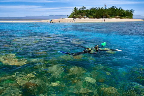 Wavedancer Low Isles Great Barrier Reef Sailing Cruise From Cairns - Accommodation Sunshine Coast 3
