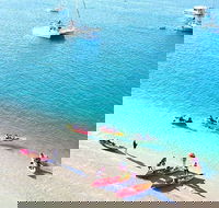 2.5hr Gold Coast Kayaking  snorkelling tour - Accommodation Sunshine Coast