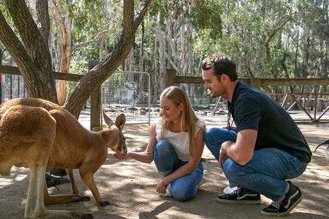 Currumbin Wildlife Sanctuary General Entry Ticket - Accommodation Sunshine Coast 1
