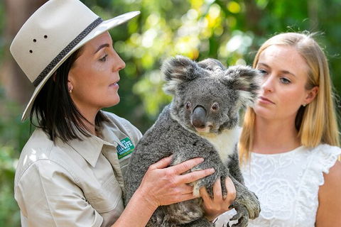 Currumbin Wildlife Sanctuary General Entry Ticket - Accommodation Sunshine Coast 6