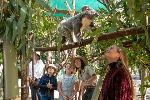 Currumbin Wildlife Sanctuary General Entry Ticket - Accommodation Sunshine Coast 14