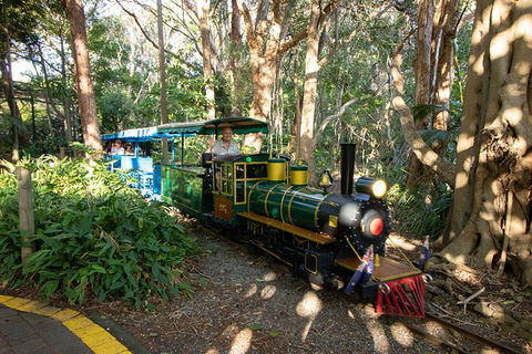 Currumbin Wildlife Sanctuary General Entry Ticket - Accommodation Sunshine Coast 13