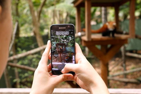 Currumbin Wildlife Sanctuary General Entry Ticket - Accommodation Sunshine Coast 4