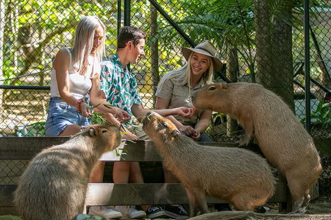 Currumbin Wildlife Sanctuary General Entry Ticket - Accommodation Sunshine Coast 16