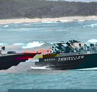 Noosa Thriller - 500hp Ocean Adventure Ride - Accommodation Sunshine Coast