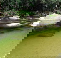Afternoon Half-Day Daintree Rainforest and River Tour - Accommodation Sunshine Coast