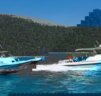 Private Standard Charter Experience in Whitsundays - Accommodation Sunshine Coast