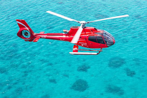 Port Douglas Scenic Flights - Accommodation Sunshine Coast 3