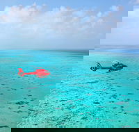 Port Douglas Scenic Flights - Accommodation Sunshine Coast