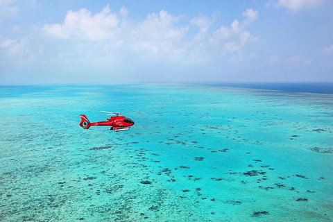 Port Douglas Scenic Flights - Accommodation Sunshine Coast 0