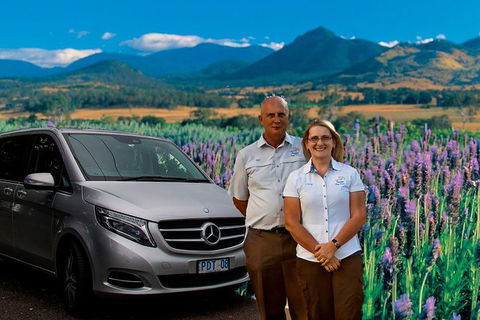 Brisbane Day In The Country Full-Day Small-Group Tour With Lunch - Accommodation Sunshine Coast 5