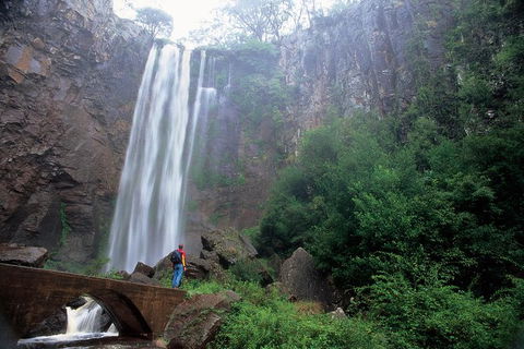 Brisbane Day In The Country Full-Day Small-Group Tour With Lunch - Accommodation Sunshine Coast 0