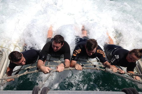 Eco Marine Safari - Boom Netting & Snorkeling Moreton Island - Roma St Transfers - Accommodation Sunshine Coast 9