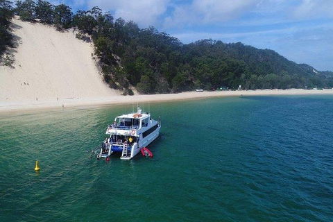 Eco Marine Safari - Boom Netting & Snorkeling Moreton Island - Roma St Transfers - Accommodation Sunshine Coast 0