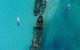 Eco Marine Safari - Boom Netting & Snorkeling Moreton Island - Roma St Transfers - thumb 4