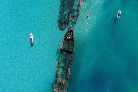 Eco Marine Safari - Boom Netting & Snorkeling Moreton Island - Roma St Transfers - Accommodation Sunshine Coast 4