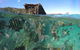 Eco Marine Safari - Boom Netting & Snorkeling Moreton Island - Roma St Transfers - thumb 10