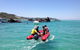 Eco Marine Safari - Boom Netting & Snorkeling Moreton Island - Roma St Transfers - thumb 1