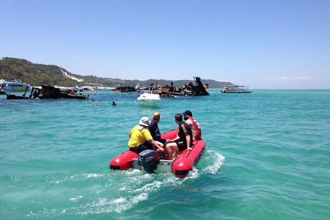 Eco Marine Safari - Boom Netting & Snorkeling Moreton Island - Roma St Transfers - Accommodation Sunshine Coast 1