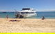 Eco Marine Safari - Boom Netting & Snorkeling Moreton Island - Roma St Transfers - thumb 8