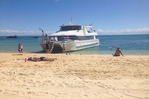 Eco Marine Safari - Boom Netting & Snorkeling Moreton Island - Roma St Transfers - Accommodation Sunshine Coast 8