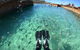 Eco Marine Safari - Boom Netting & Snorkeling Moreton Island - Roma St Transfers - thumb 3