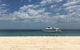Eco Marine Safari - Boom Netting & Snorkeling Moreton Island - Roma St Transfers - thumb 5