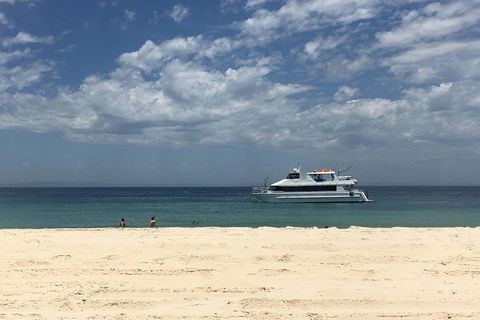 Eco Marine Safari - Boom Netting & Snorkeling Moreton Island - Roma St Transfers - Accommodation Sunshine Coast 5