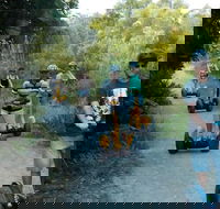 Gold Coast Segway Safari Adventure 60-minutes - Accommodation Sunshine Coast