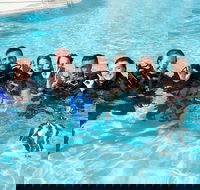 3-Day Open Water Certification Course on the Gold Coast - Accommodation Sunshine Coast