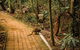Full Day Sunshine Coast Hinterland Luxury Small Group Tour From Brisbane - thumb 2