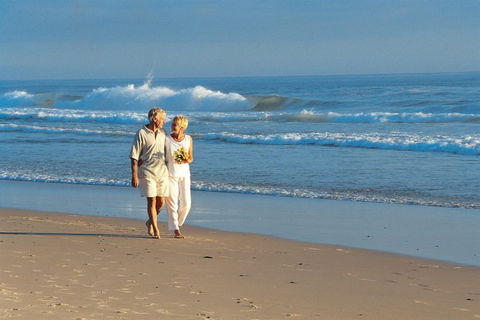 Full Day Sunshine Coast Hinterland Luxury Small Group Tour From Brisbane - Accommodation Sunshine Coast 3