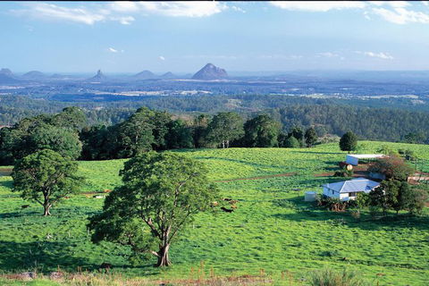 Full Day Sunshine Coast Hinterland Luxury Small Group Tour From Brisbane - Accommodation Sunshine Coast 0