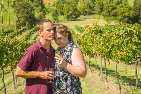 Moreton Bay Wine & Beer Tour - Accommodation Sunshine Coast 6