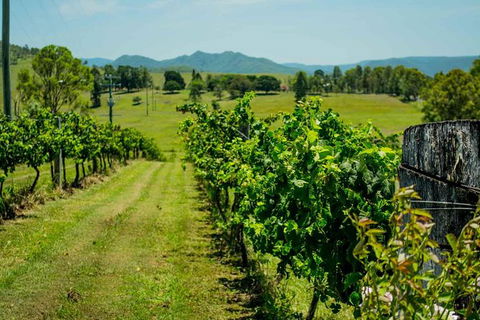 Moreton Bay Wine & Beer Tour - Accommodation Sunshine Coast 2