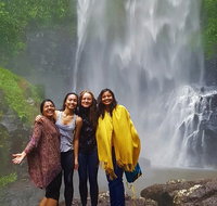 Small Group Tour Max 6 Gold Coast Super 7 Waterfalls Tour Springbrook - Accommodation Sunshine Coast