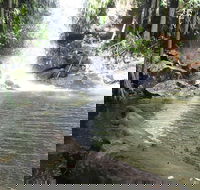 The Gold ExperiencePrivate Day Tour In Lamington National Park or Mt Tambourine - Accommodation Sunshine Coast