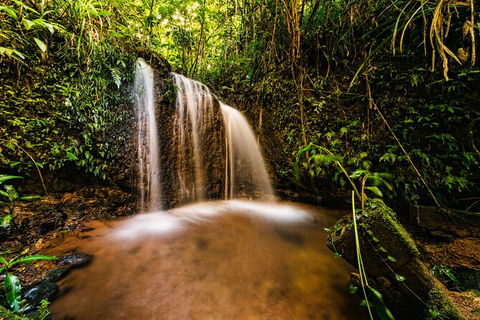 Paronella Park Admission Ticket - Accommodation Sunshine Coast 4