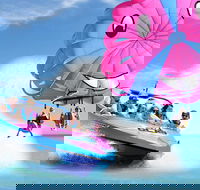 Gold Coast Tandem Parasail  V8 Jetboat Combo - 1 Location - Accommodation Sunshine Coast
