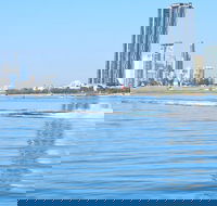 1hr Jet Ski Safari - Accommodation Sunshine Coast