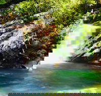 Wooroonooran National Park Rainforest and Wildlife Day Trip from Cairns - Accommodation Sunshine Coast