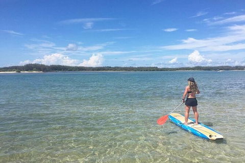 Early Morning Weekend Paddleboard Special - Accommodation Sunshine Coast 4