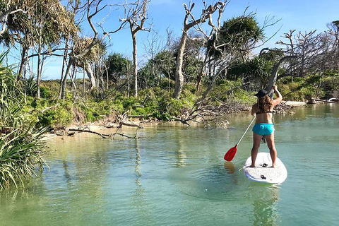 Early Morning Weekend Paddleboard Special - Accommodation Sunshine Coast 5