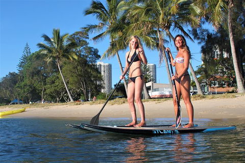 Stand Up Paddle Board Hire - Accommodation Sunshine Coast 1